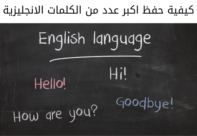 كيفية حفظ اكبر عدد من الكلمات الانجليزية افضل 3 طرق مجربة في 2021 Free Courses And Books