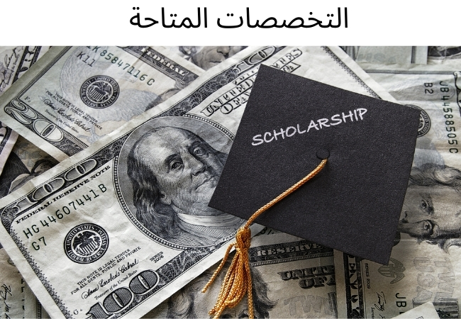 التخصصات المتاحة-منحة مجانية

