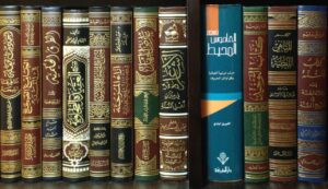 ما هو الهدف من البرنامج؟