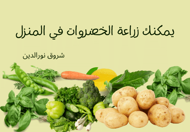 خضروات