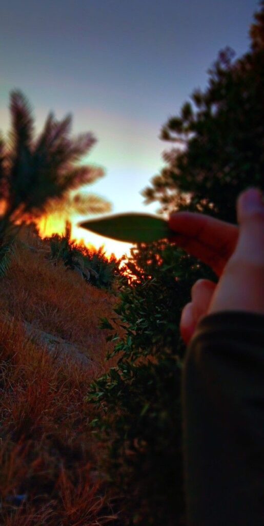 الإنطوائية